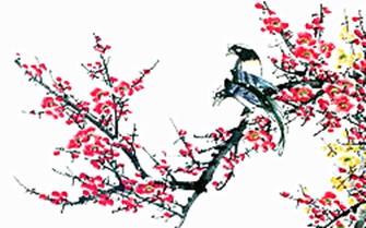 ac75323d6b6de243-c361eb70e2169653-dbb812e51d36f260708bdd8ee9ba4b10_i.jpg
